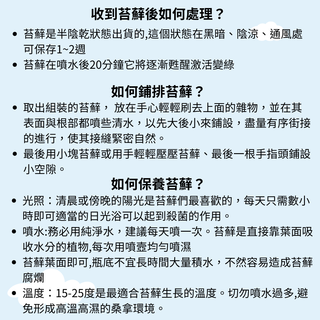 Moss Eco-Bottle DIY Material Kit | Garden and Flower Garden