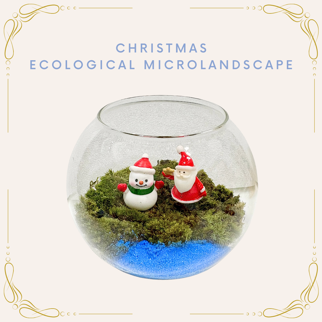 苔蘚微景觀工作坊