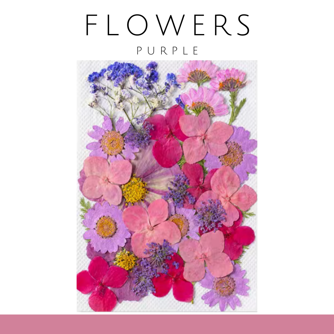 Embossing | Pink Purple