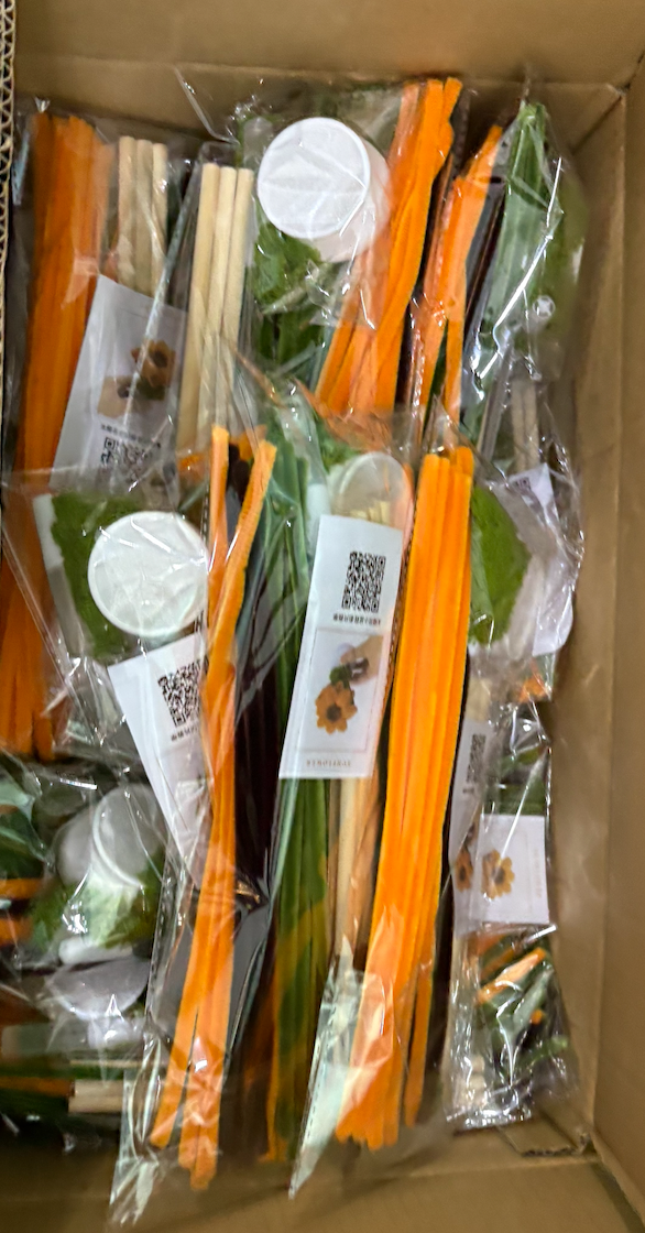 New Year Twister|DIY Material Pack|Small Orange Potted Plant