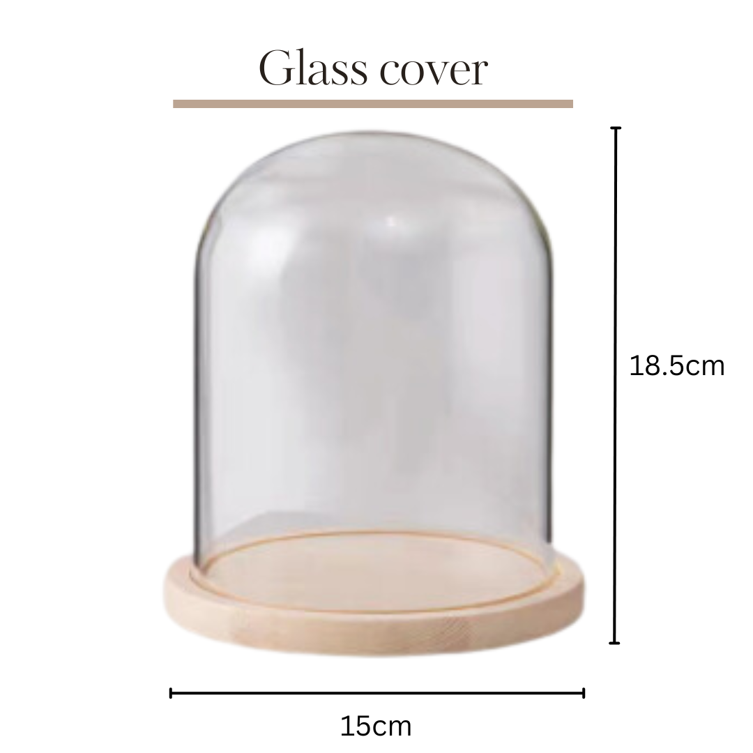 Preserved Flower Glass Ball | Cylindrical 15x18.5cm