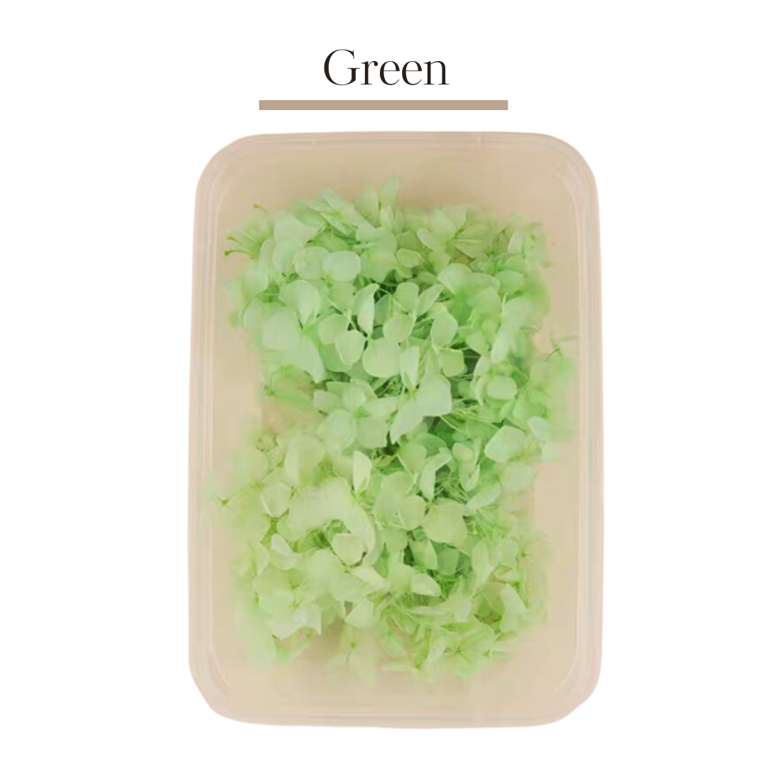 繡球花永生花|淺綠色