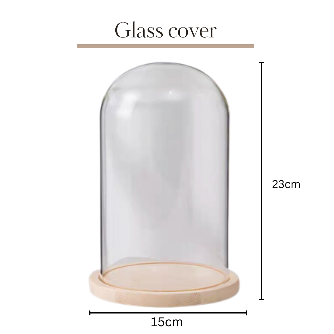 Preserved Flower Glass Ball | Cylindrical 15x23cm