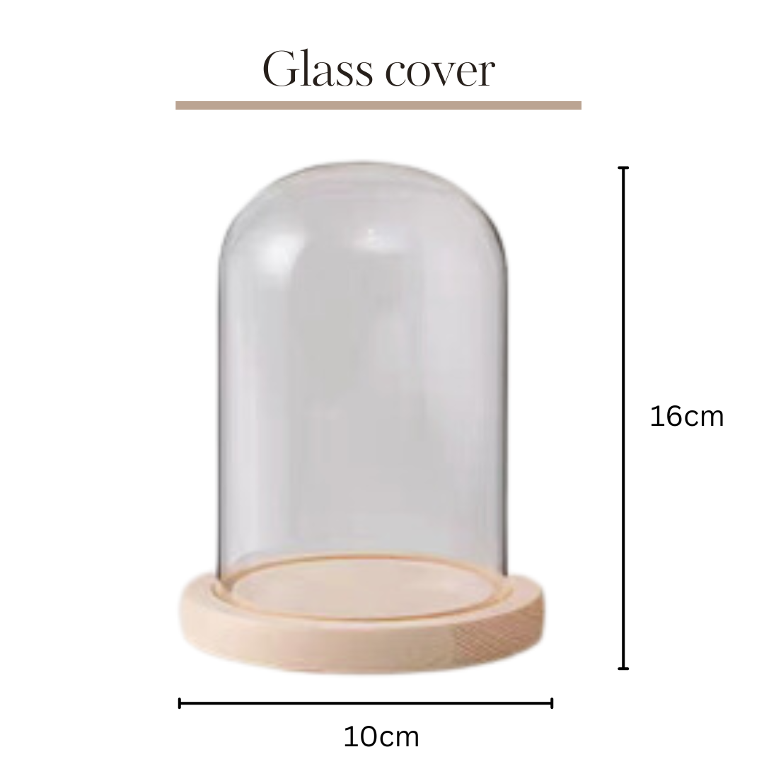 Preserved Flower Glass Ball | Cylindrical 10x16cm