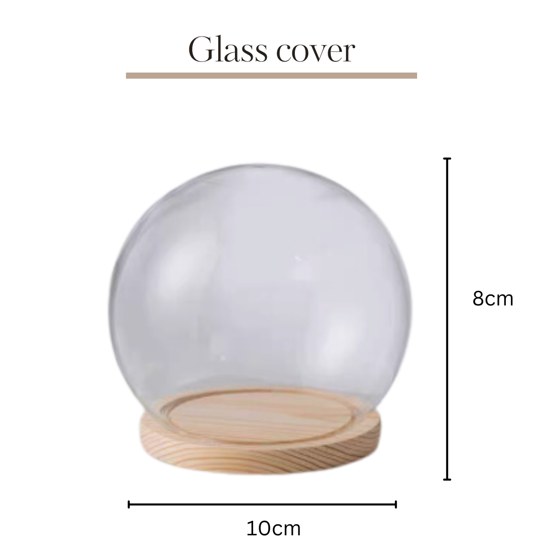 Preserved Flower Glass Ball | Round 10x8cm