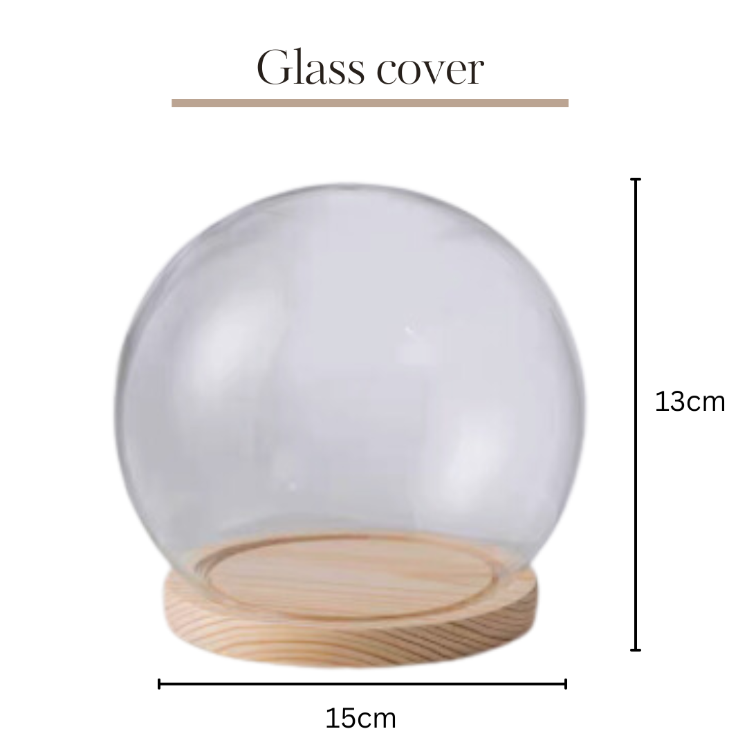 Preserved Flower Glass Ball | Round 15x13cm