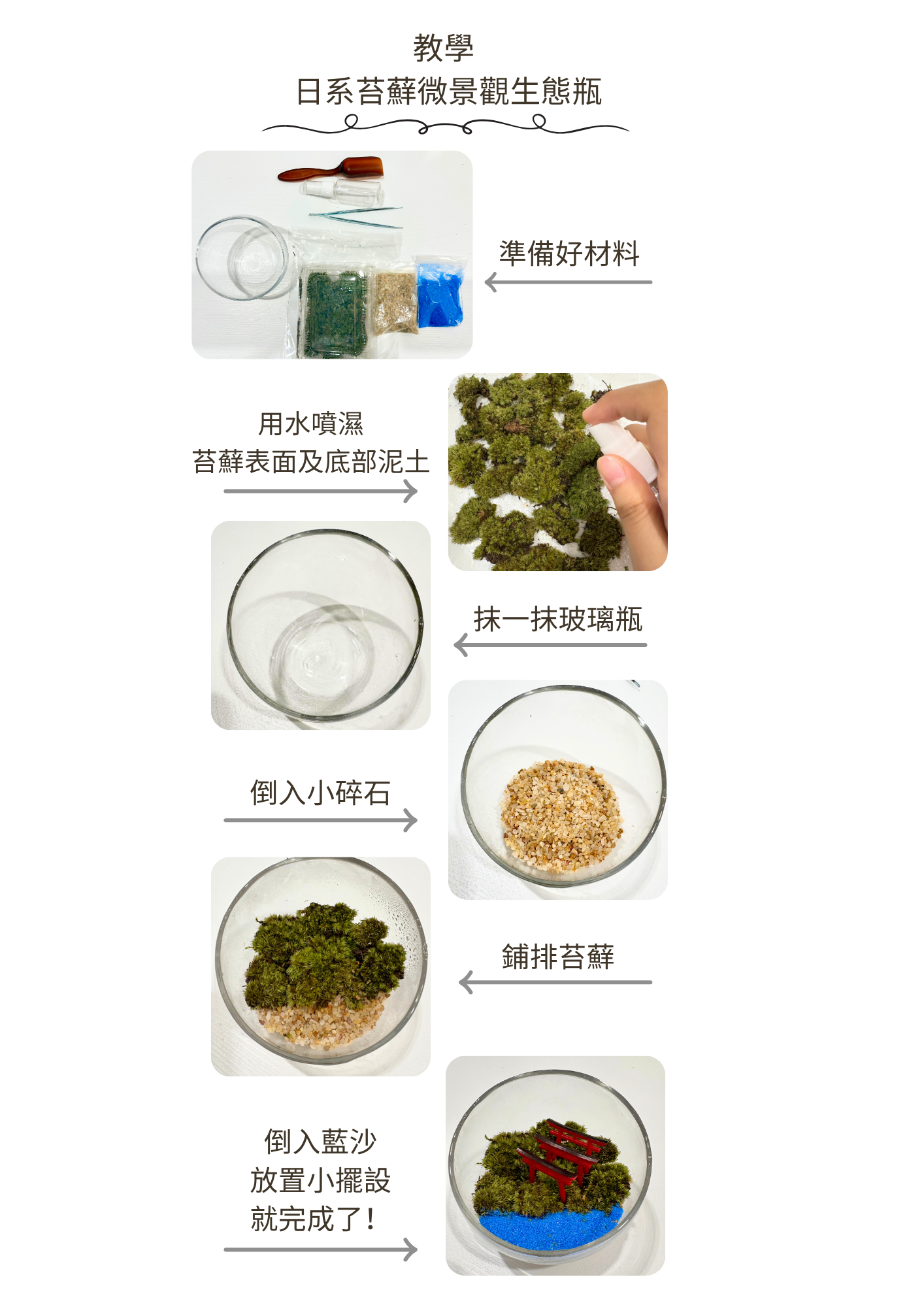 Moss Eco-Bottle DIY Material Kit | Garden and Flower Garden