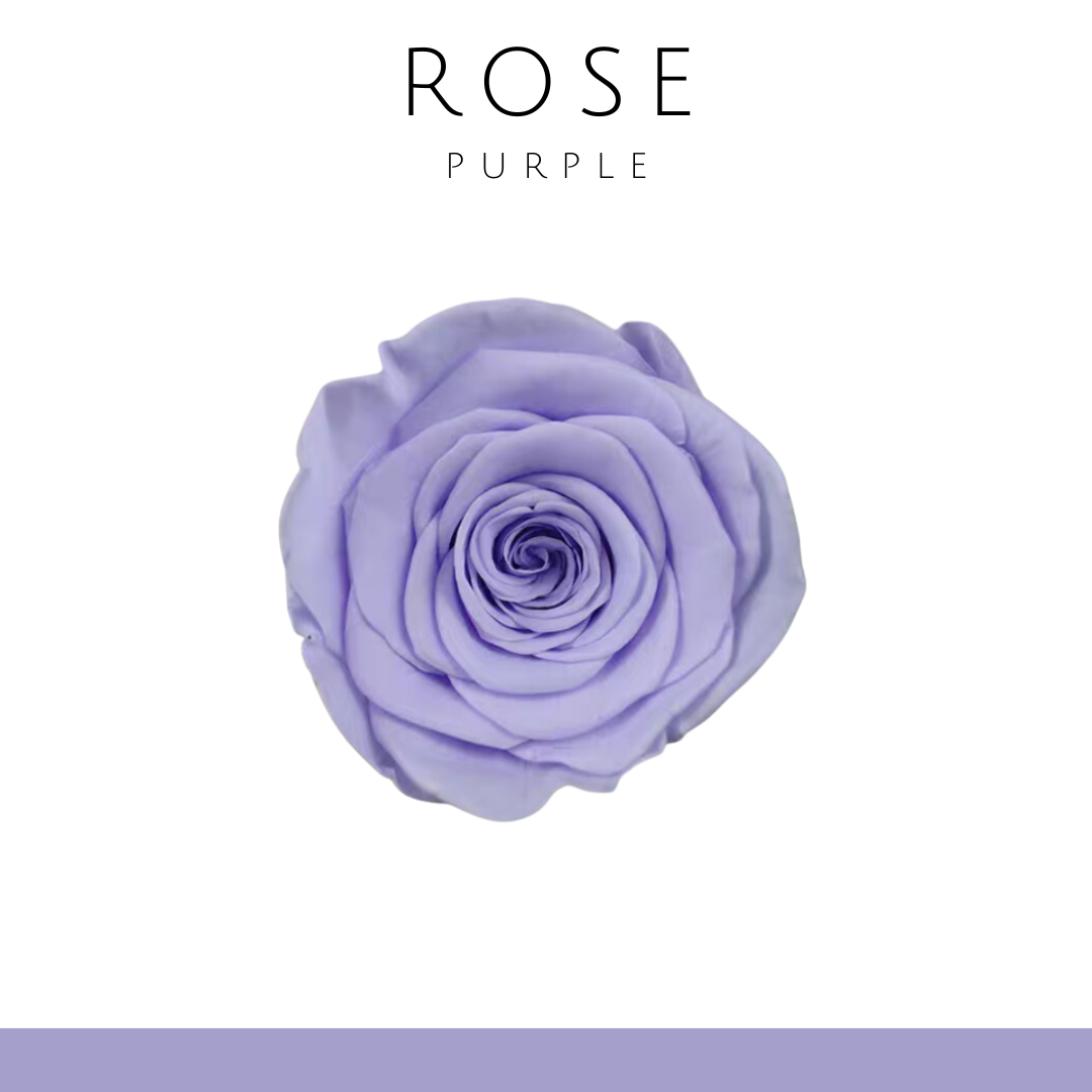 Rose flower (single flower) 4-5cm | light purple