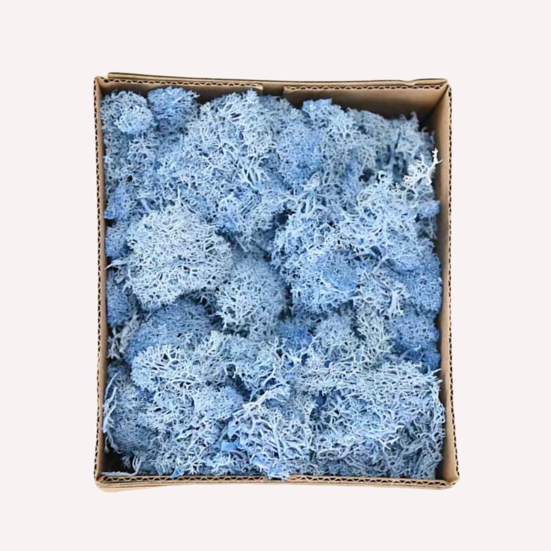 Simulation moss | Light blue