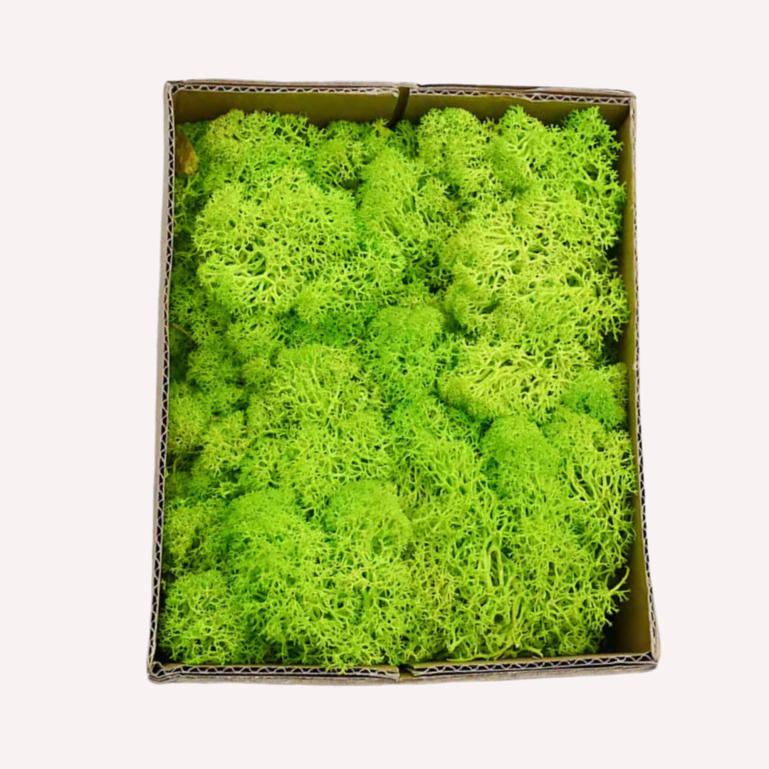 Simulation moss | Green