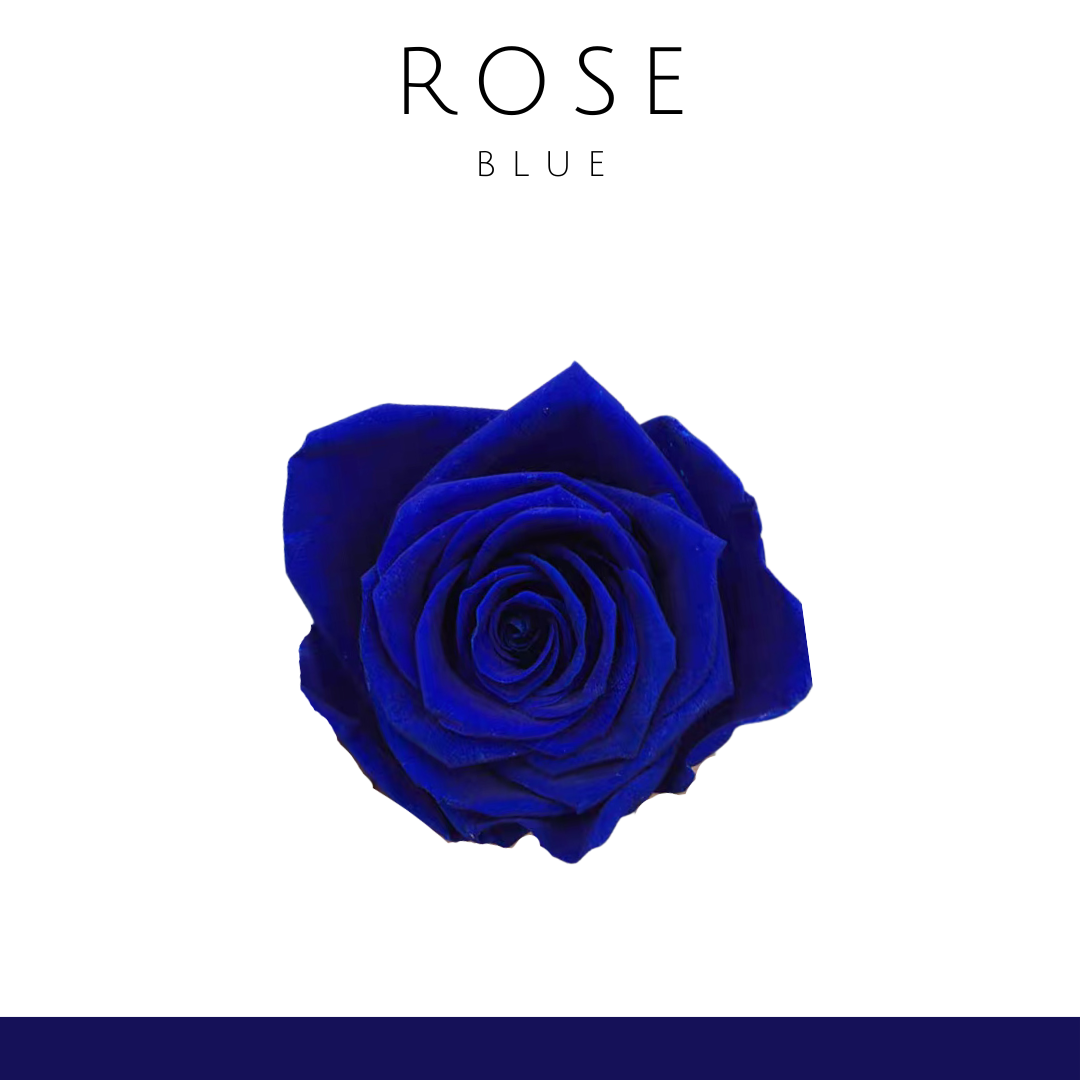 Rose flower (single flower) 4-5cm | dark blue