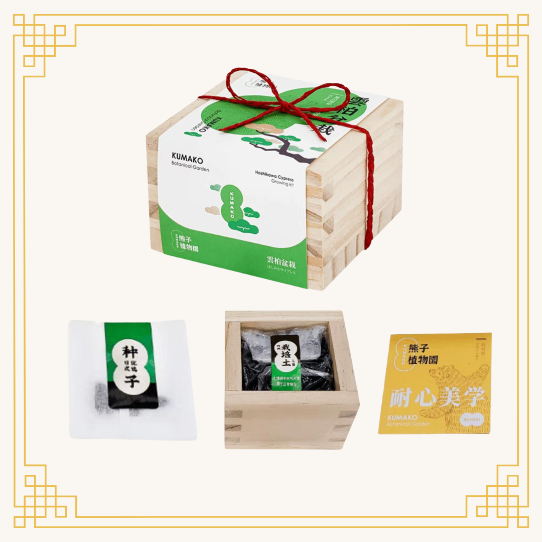 Japanese wooden box DIY potted plants | Yunbai