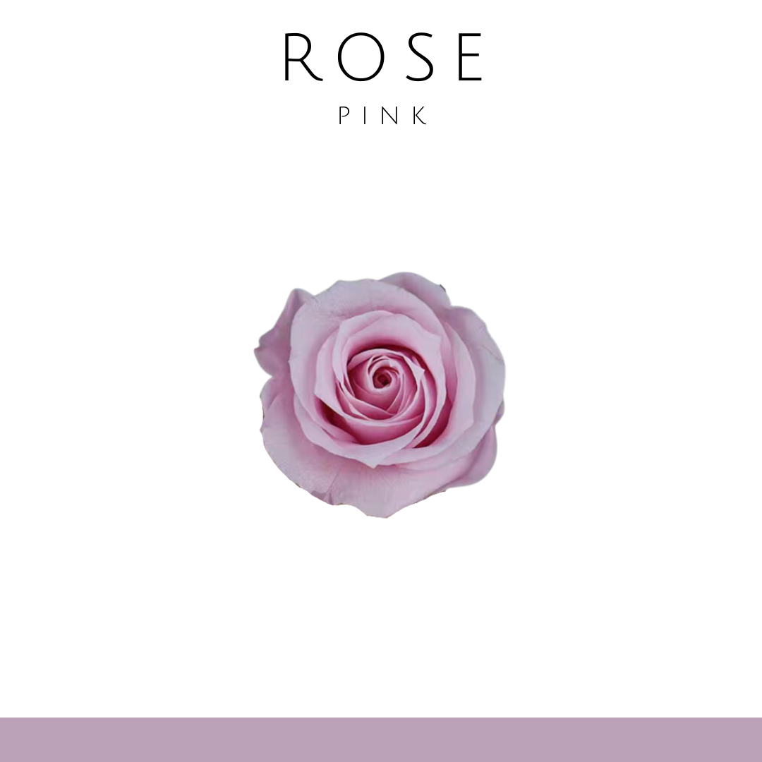 Rose flower (single flower) 2-3cm | light pink