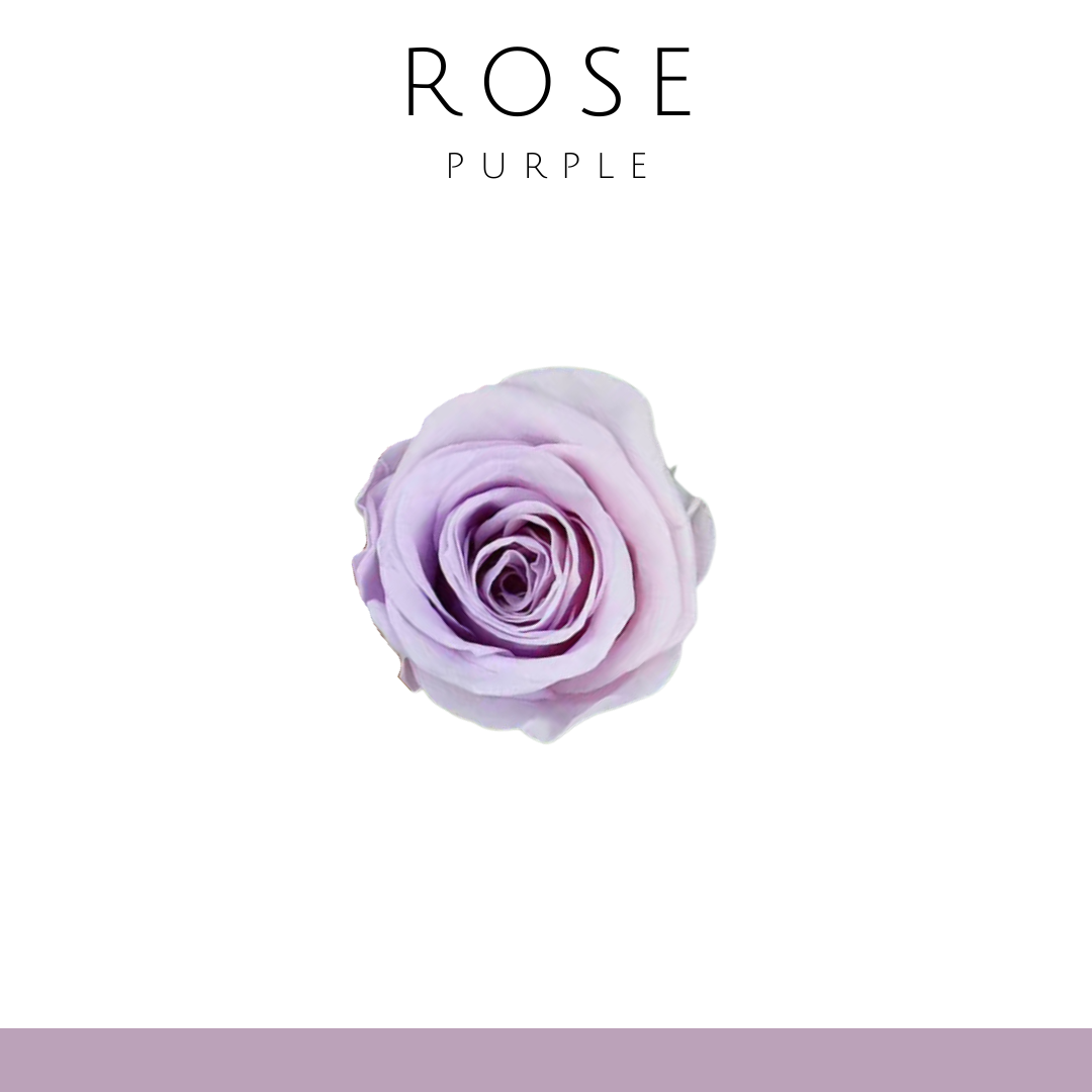 Rose flower (single flower) 2-3cm | light purple