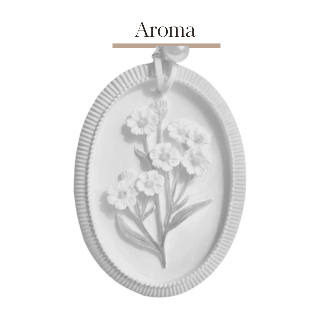 Aromatherapy plaster relief flower DIY coloring 🌺 | Daisy A