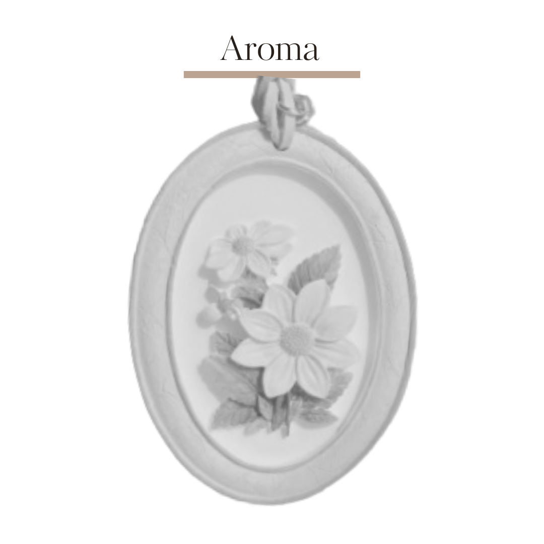 Aromatherapy plaster relief flower DIY coloring 🌺 | Daisy B