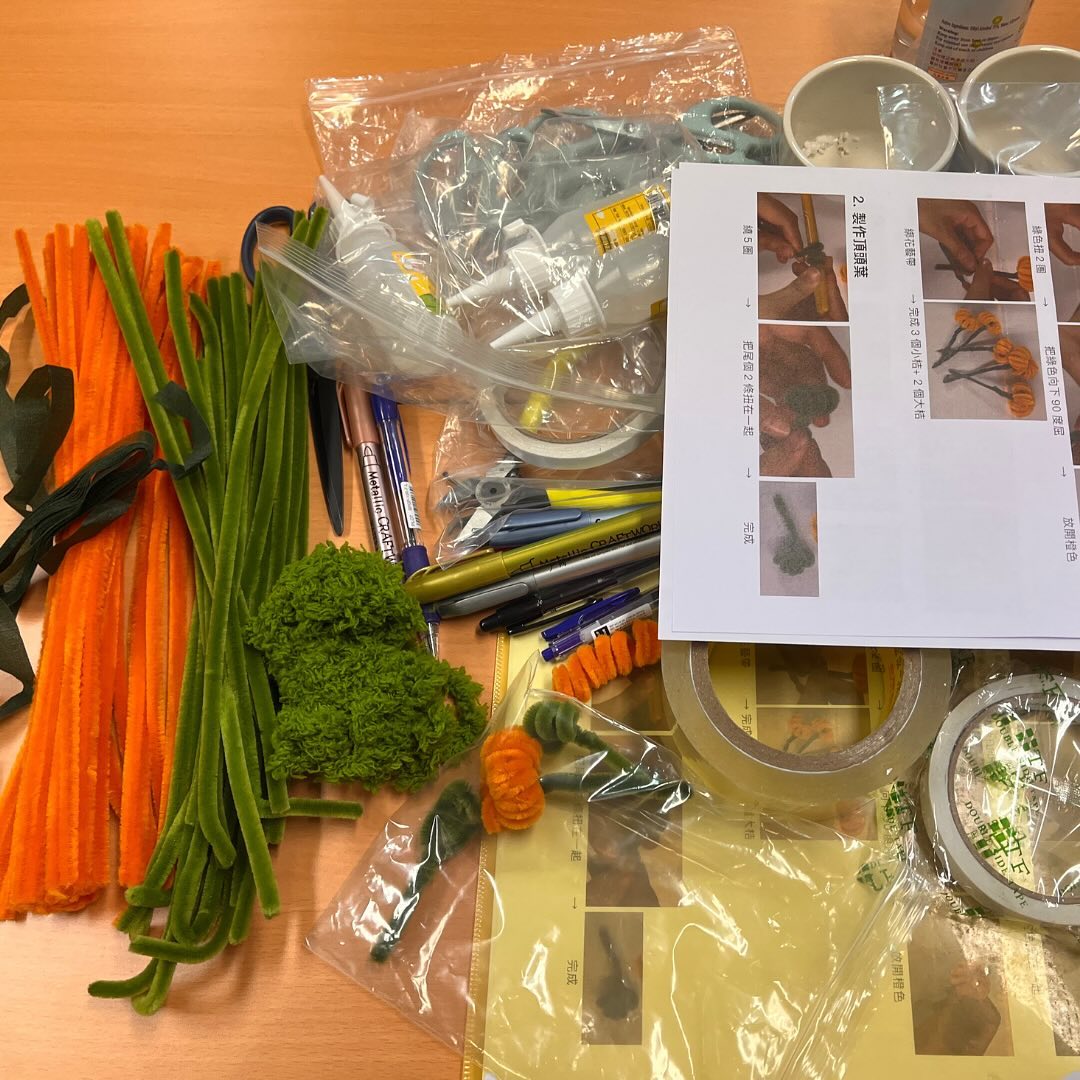 Medtronic|新年創意手作 扭扭棒小桔盆栽工作坊