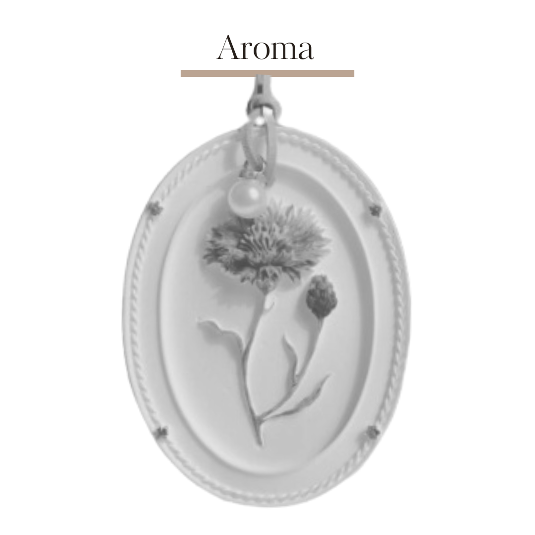 Aromatherapy plaster relief flower DIY coloring 🌺 | Carnation