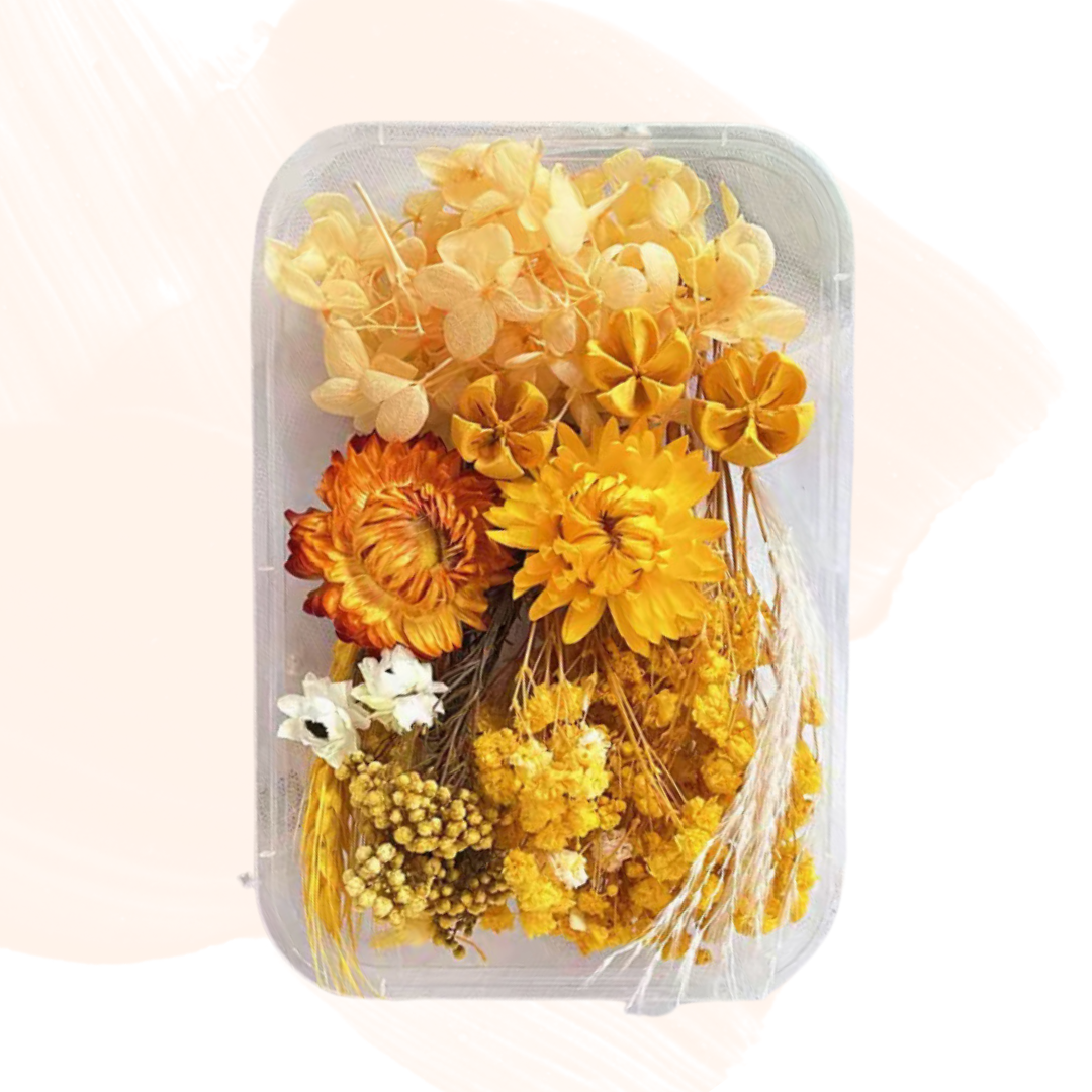 永生花材料| 黃色系列(菊花 草莓果 千層金 蓬莱松 勿忘我 繡球花)