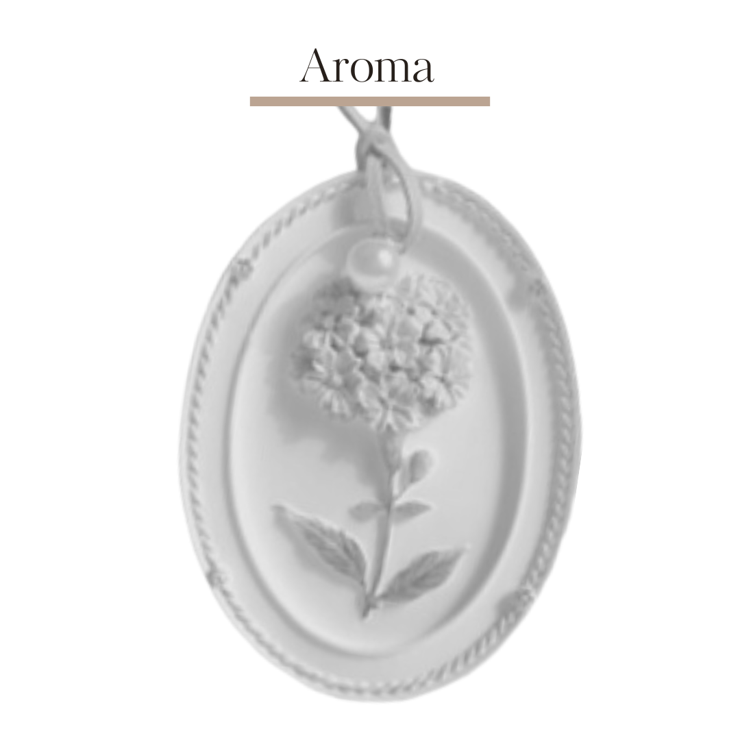 Aromatherapy plaster relief flower DIY coloring 🌺 | Chrysanthemum A