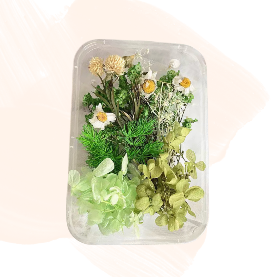 永生花材料| 綠色系列(菊花 草莓果 千層金 蓬莱松 勿忘我 繡球花)