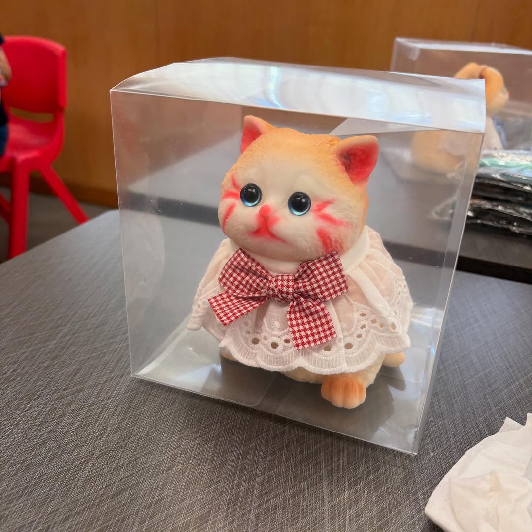 鄰舍輔導會天瑞鄰里康齡中心|貓貓捏捏膠工作坊