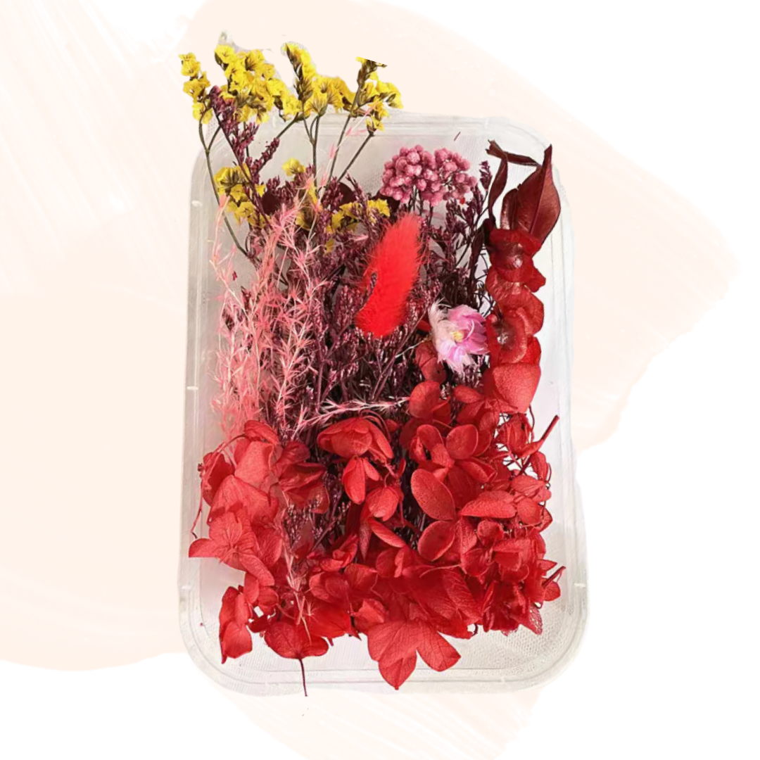 永生花材料| 紅色系列(菊花 草莓果 千層金 蓬莱松 勿忘我 繡球花)