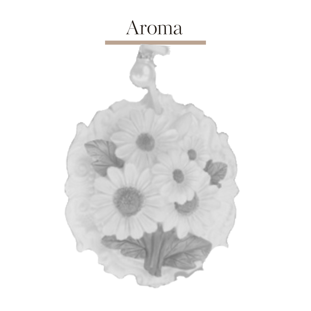 Aromatherapy plaster relief flower DIY coloring 🌺 | Chrysanthemum B