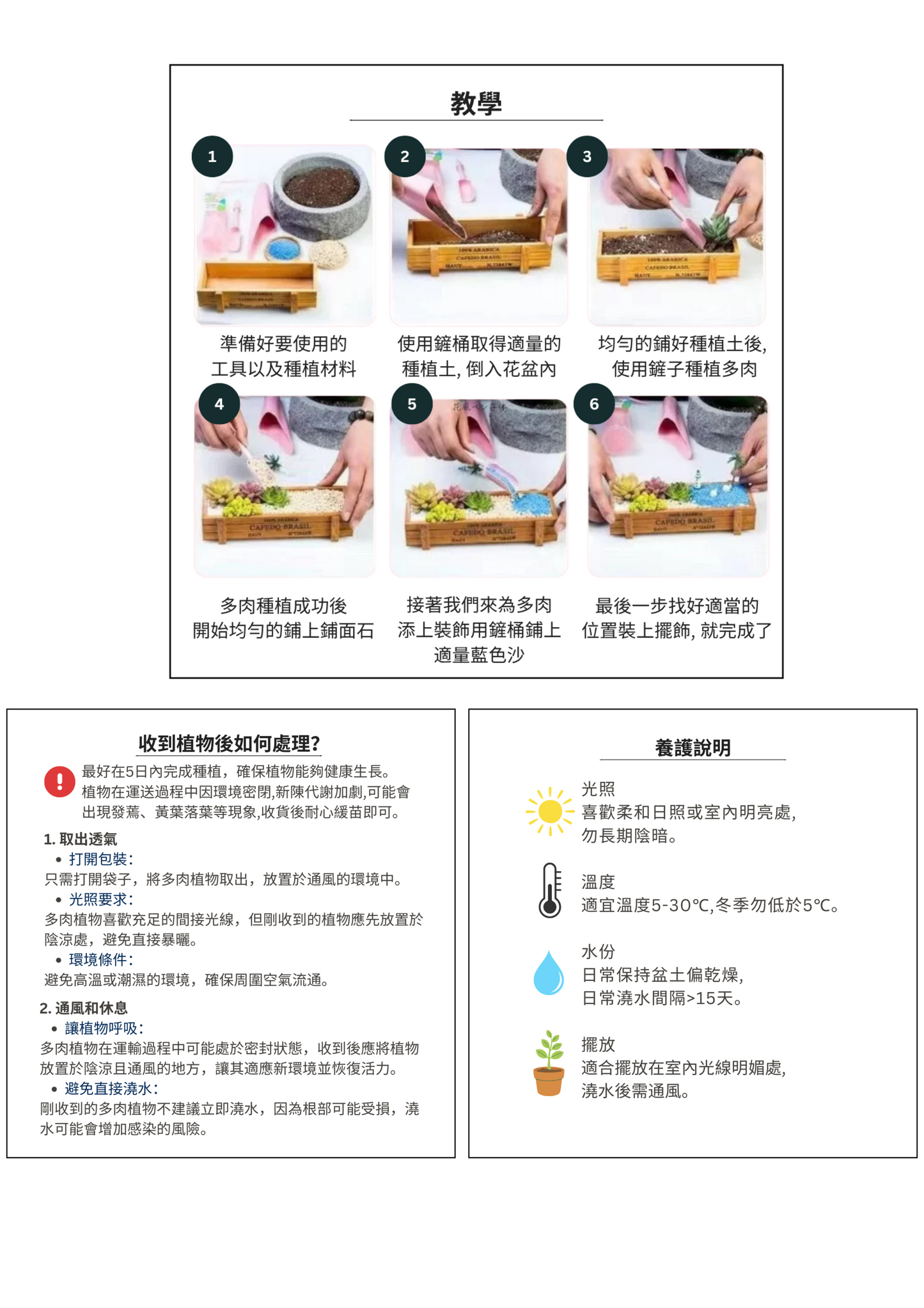 Succulent Plants | Bunny Garden