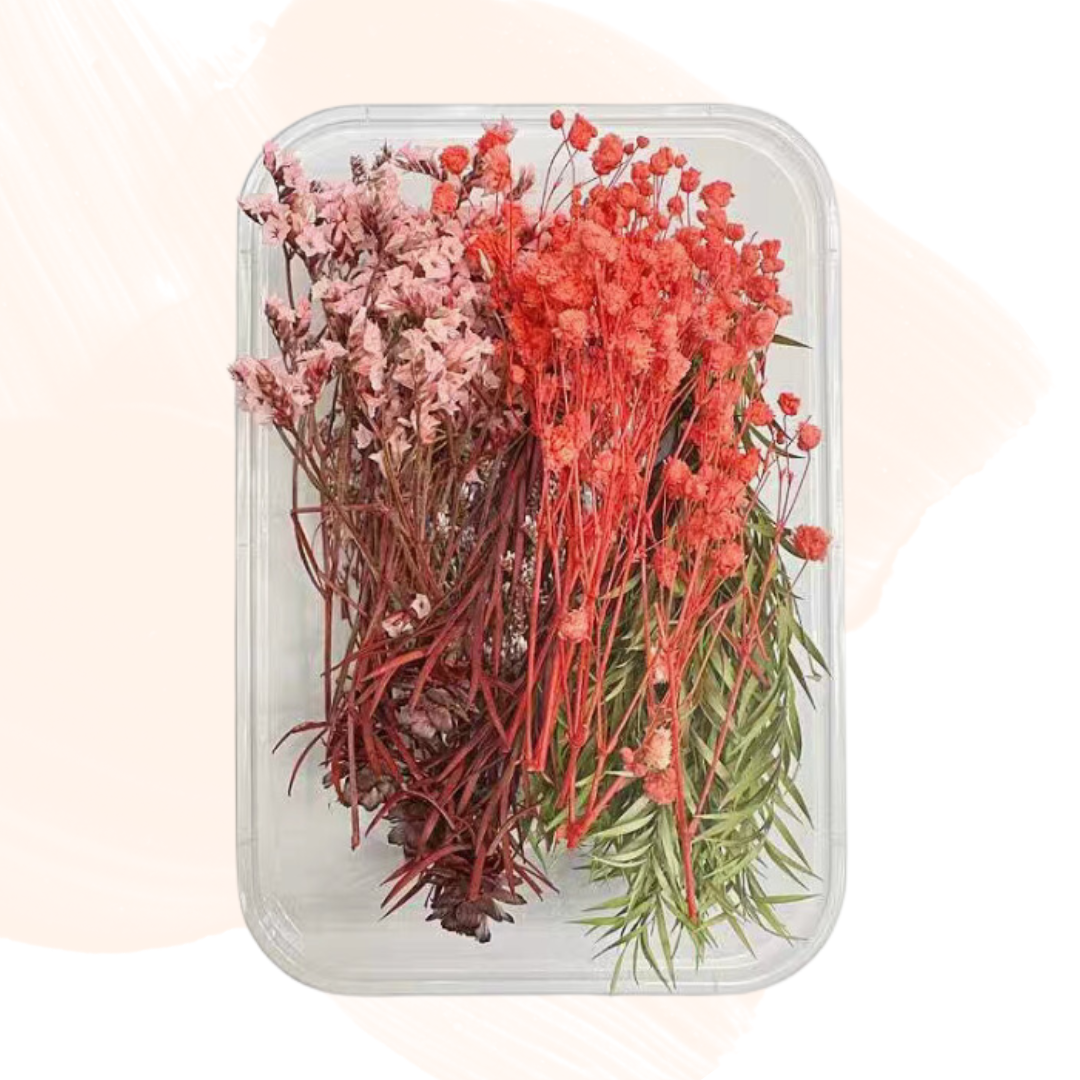 Hot selling preserved flower material package | red series