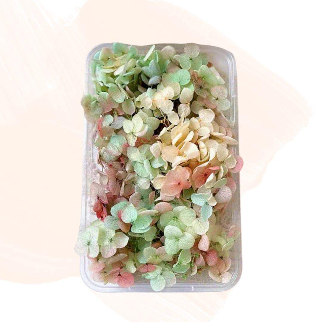 繡球花永生花|漸變色系列