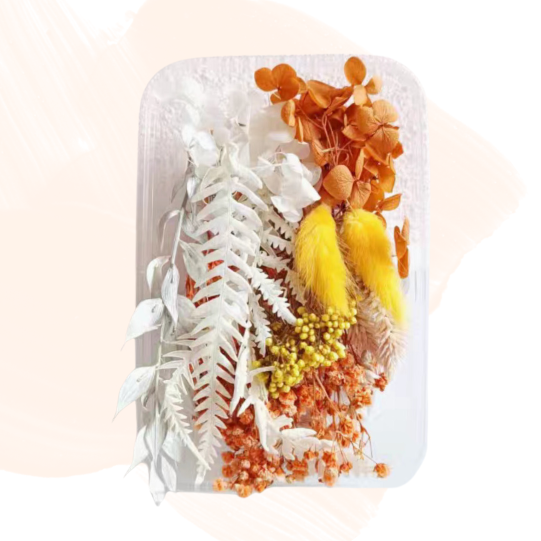 Hot selling preserved flower material package | white and light yellow color