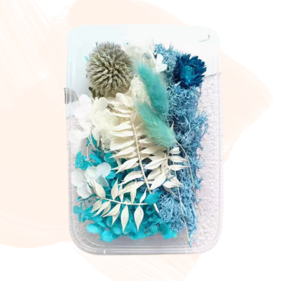 永生花材料|粉藍色系