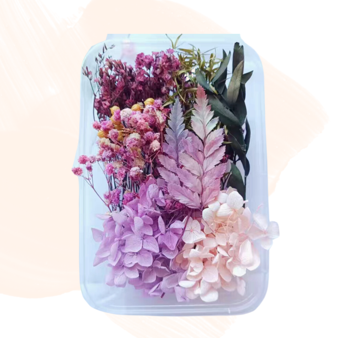 永生花材料|紫色系