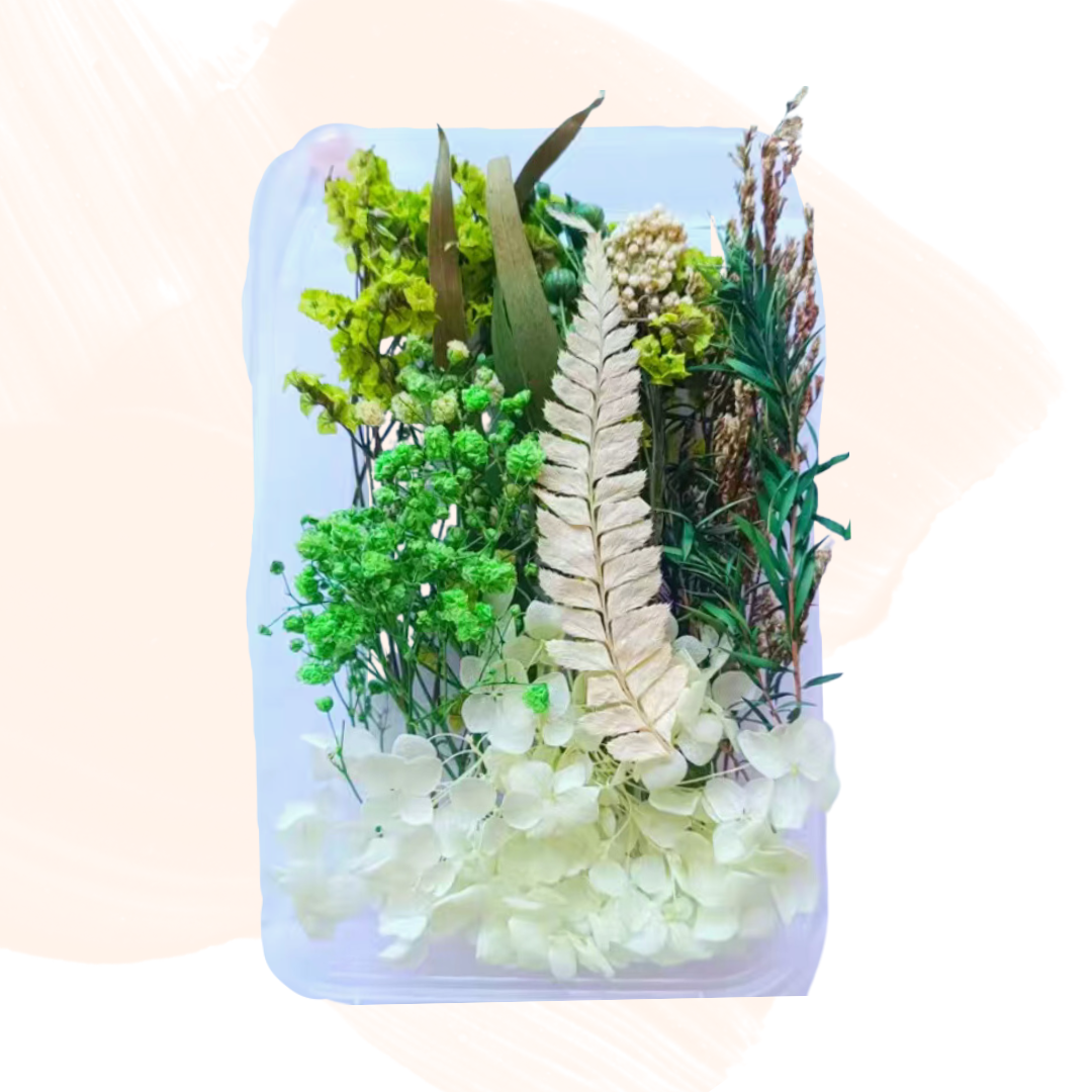 永生花材料|淺綠色系