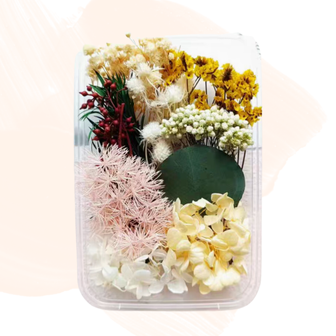 永生花材料|植物系