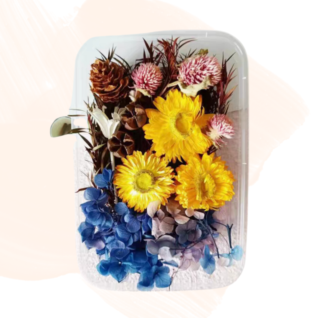 永生花材料|陽光系