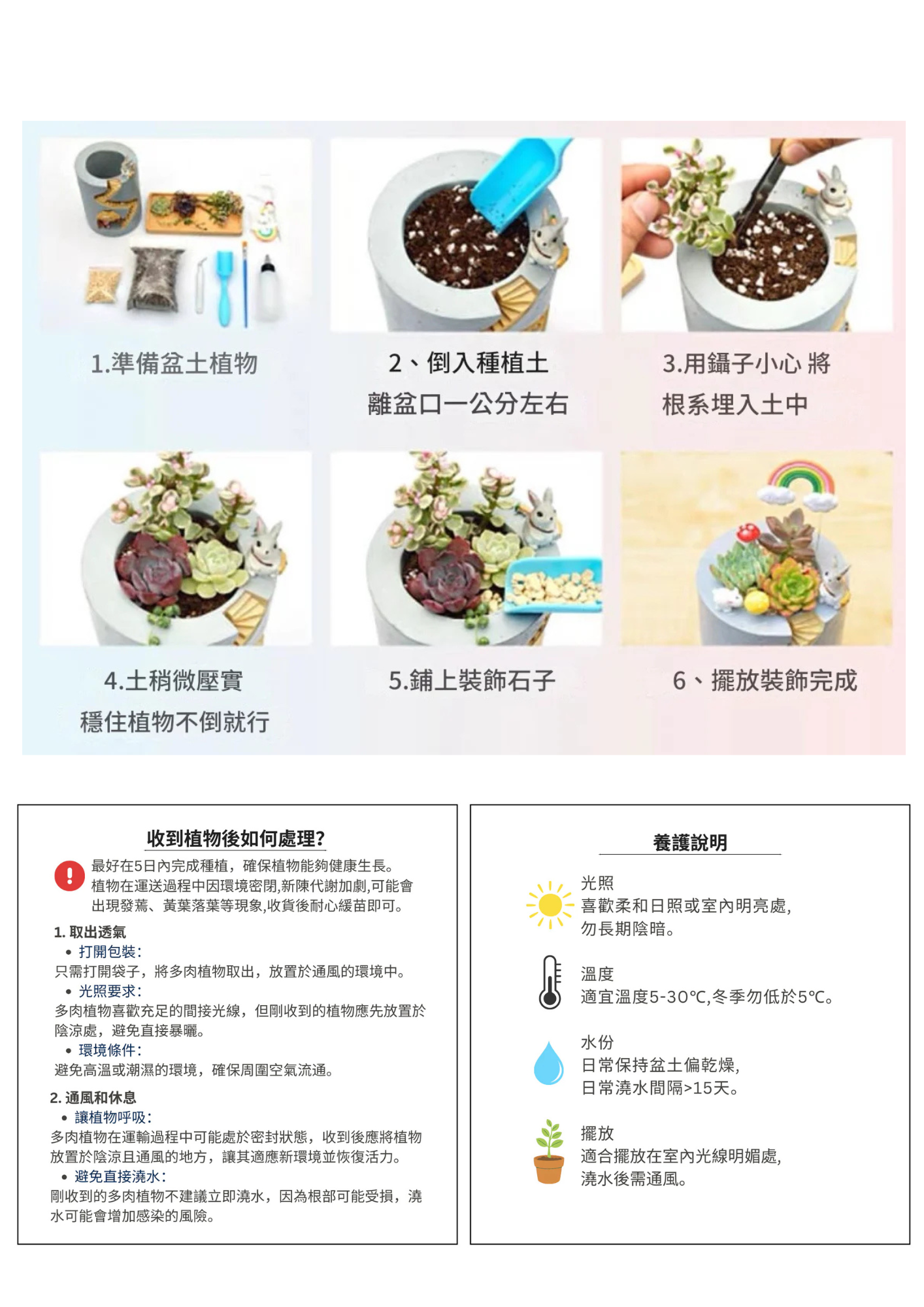 多肉植物盆栽|小店可愛動物款|小熊貓拉麵店