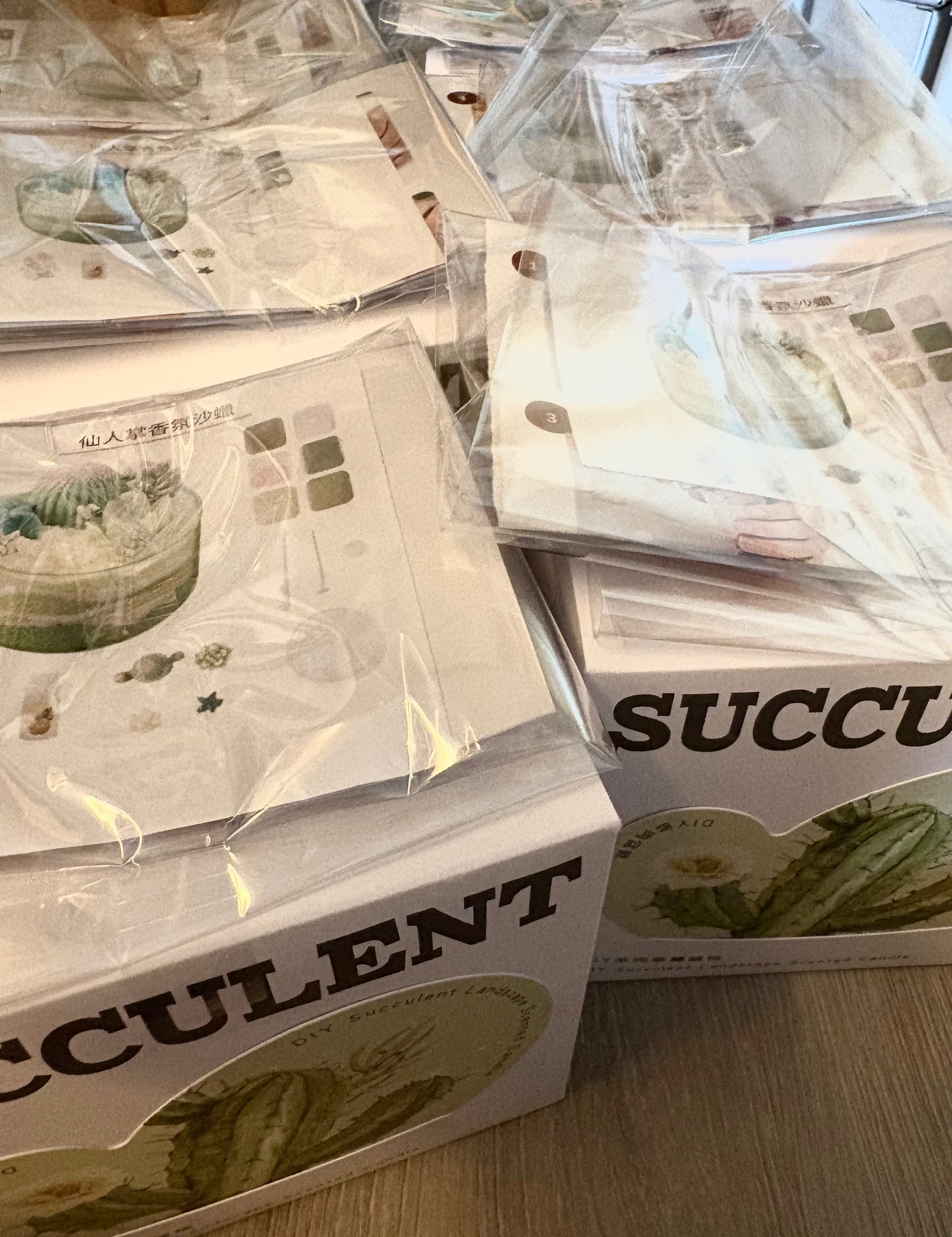 Cactus scented sand wax DIY material kit | green