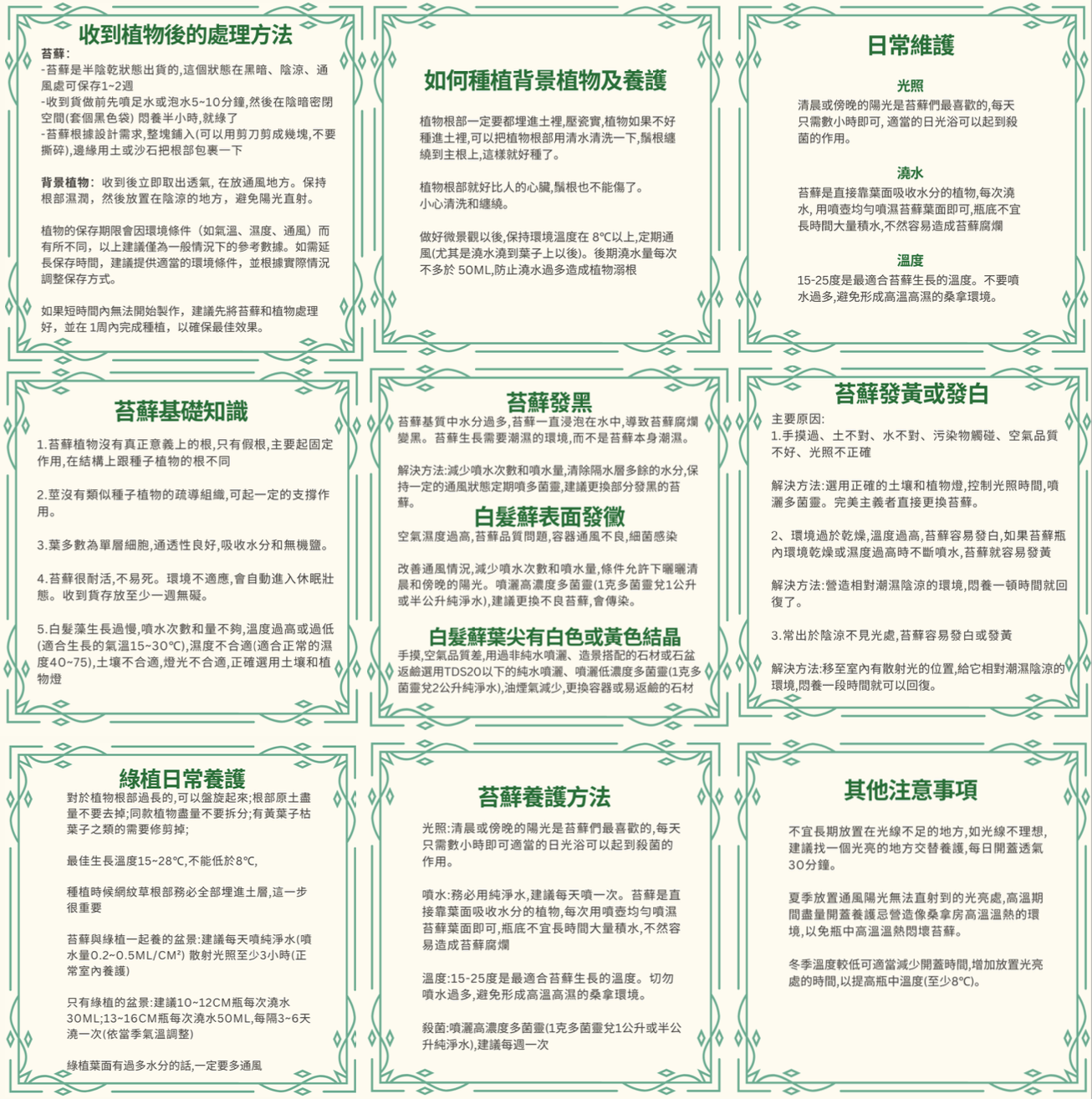 苔蘚生態瓶DIY材料包|龍貓與小青蛙