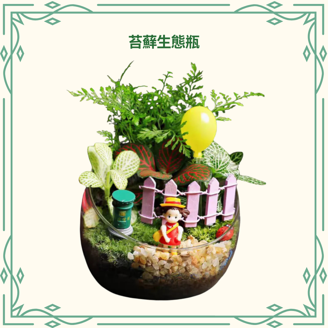 詳細教學 - 苔蘚生態瓶DIY材料包|小梅花園