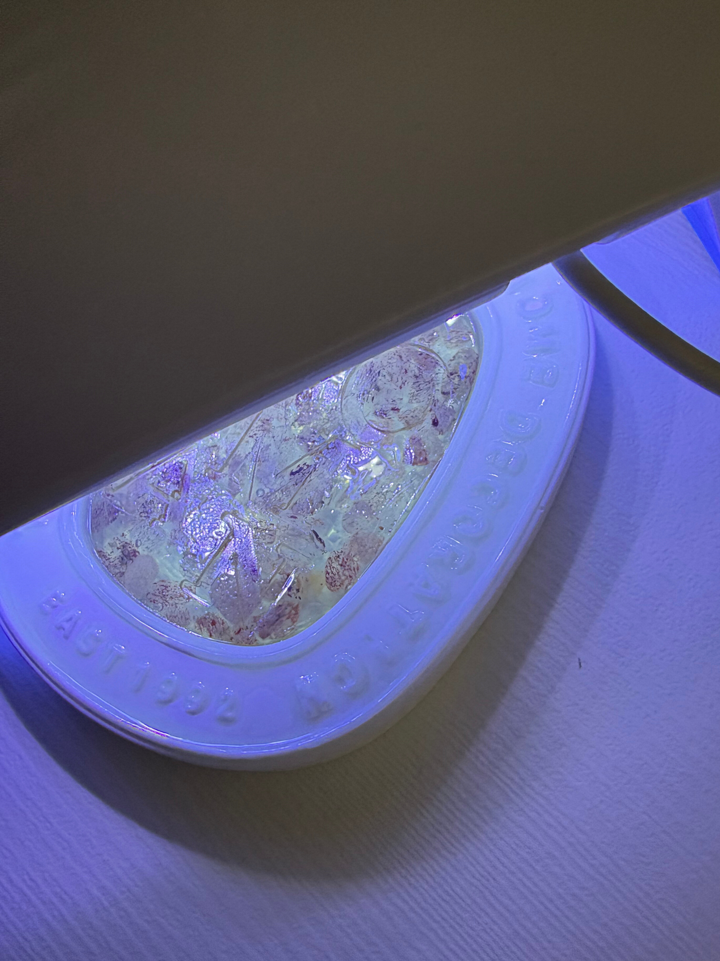 Night Light Preserved Flower Glass Ball Workshop