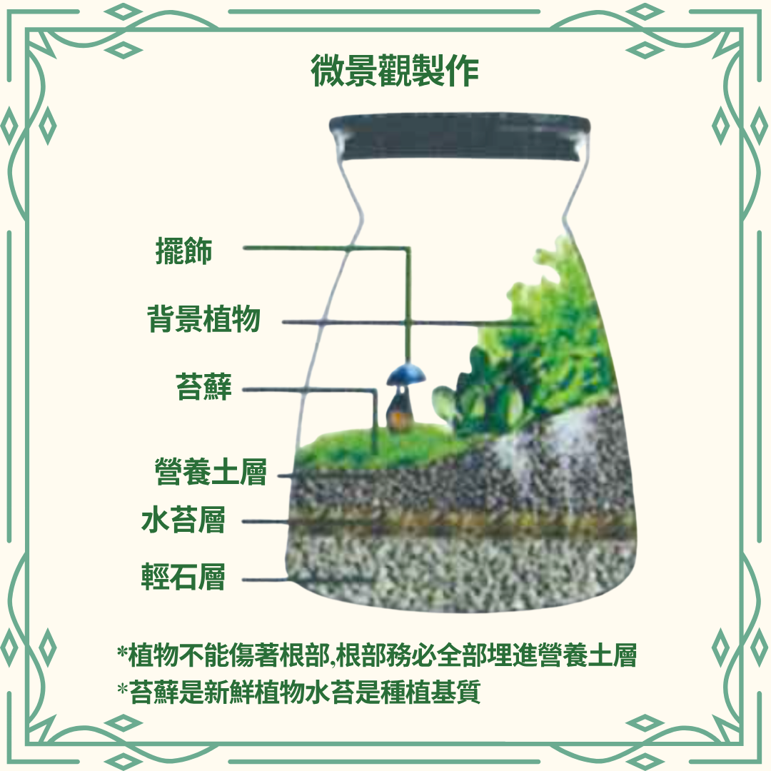 Moss Eco-Bottle DIY Material Kit | Rainy Day Xiaomei and the Bunny