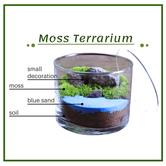 Moss Eco-Bottle DIY Material Kit | Walking Lamb