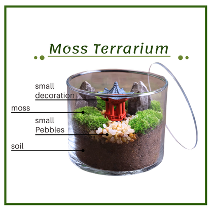 Moss Eco-Bottle DIY Material Kit | Garden and Flower Garden