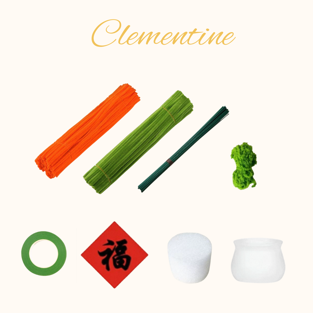 New Year Twister|DIY Material Pack|Small Orange Potted Plant