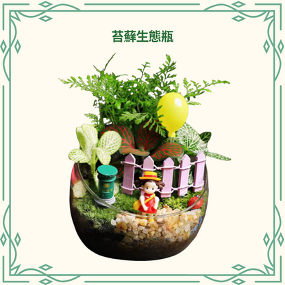 Moss Eco-Bottle DIY Material Kit | Xiaomei Garden