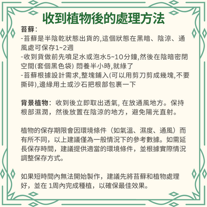 Moss Eco-Bottle DIY Material Kit | Xiaomei Garden