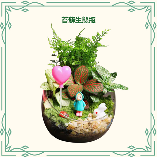 Moss Eco-Bottle DIY Material Kit | Rainy Day Xiaomei and the Bunny
