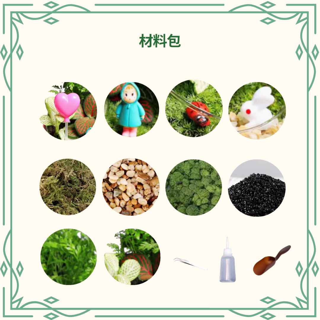 Moss Eco-Bottle DIY Material Kit | Rainy Day Xiaomei and the Bunny